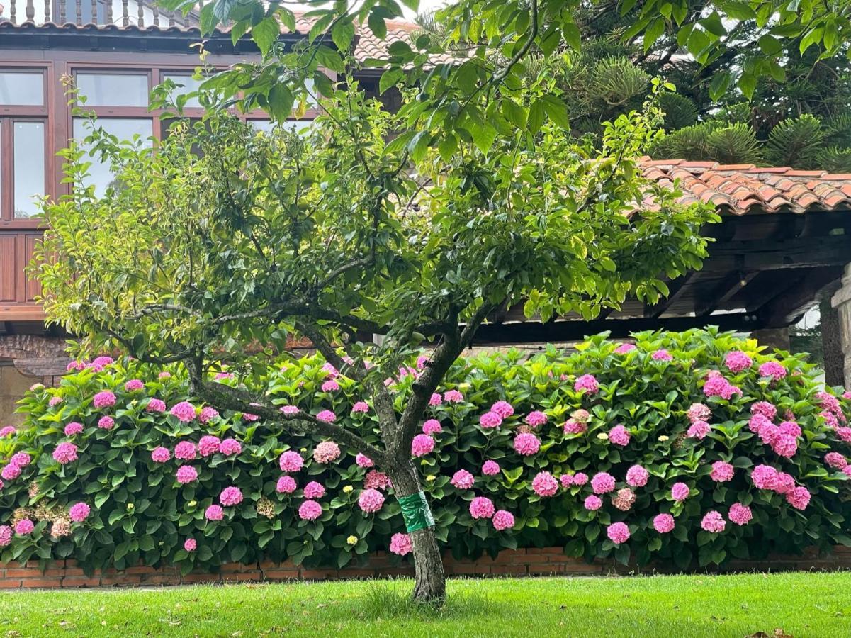 La Solana De Mogro Villa Exteriör bild