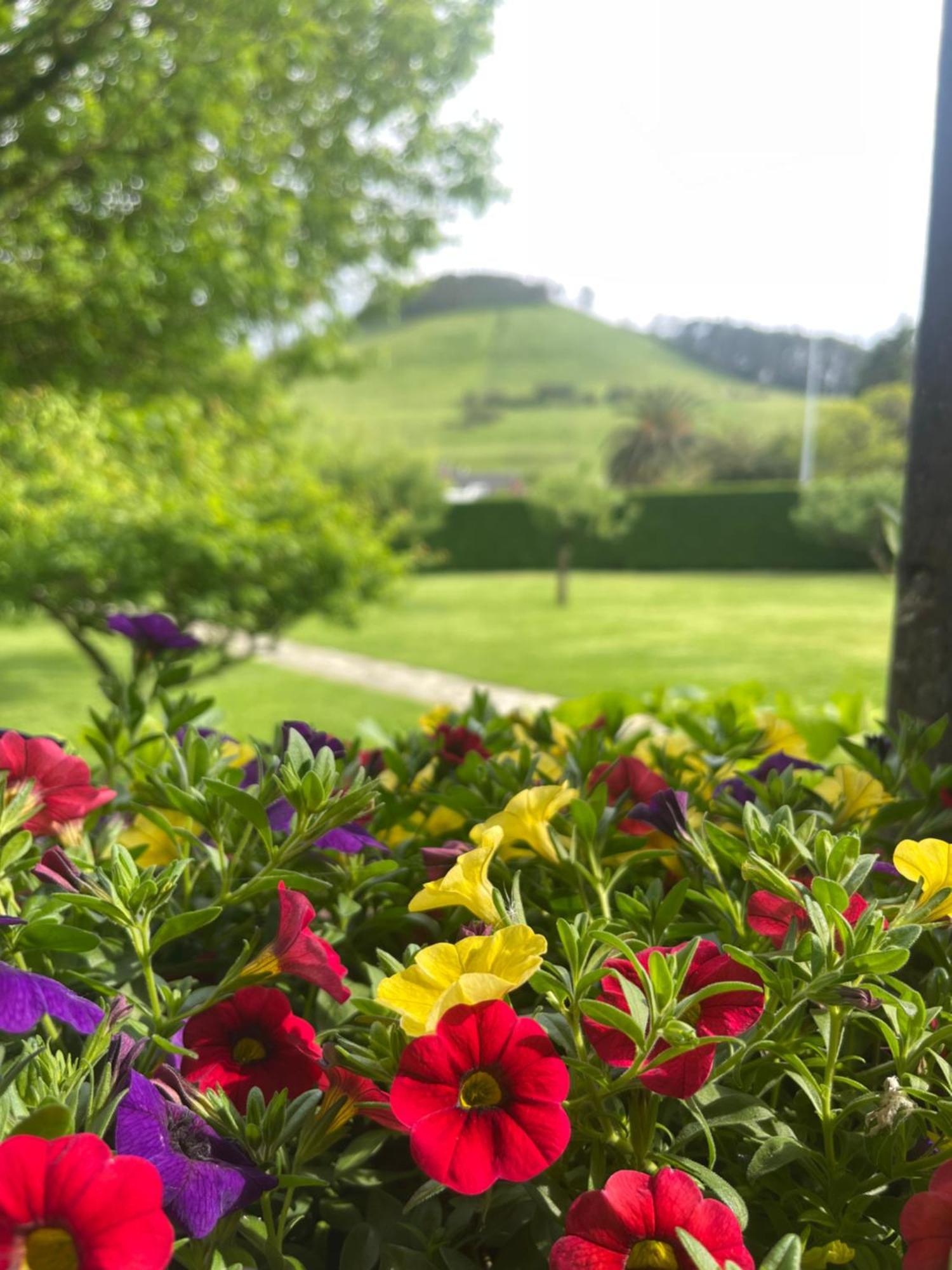 La Solana De Mogro Villa Exteriör bild
